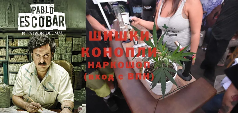 Канабис White Widow  где продают наркотики  Белорецк 